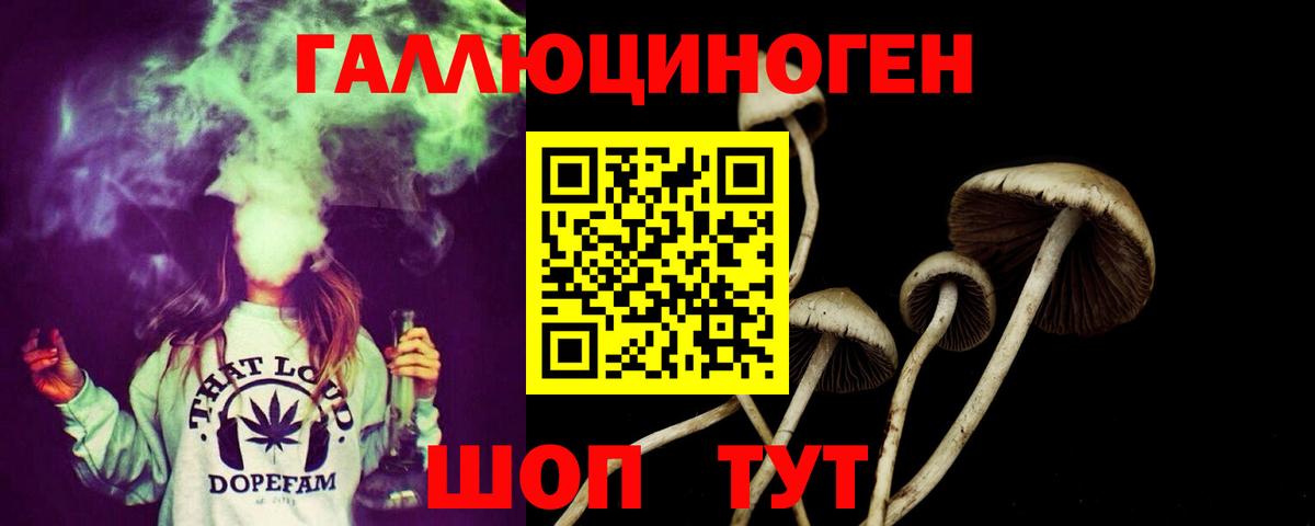 Галлюциногенные грибы Cubensis  Псилоцибиновые грибы мухоморы  Морозовск  Вход с VPN 
